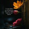 mabys_funes