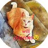wilicatgat