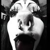 bat_fangss