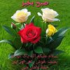muhammad555hassan