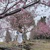 my_cancer28