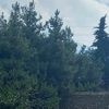 sevgi.bosdur362