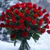 hasnain.2023