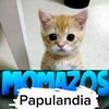 mo_papu