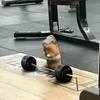 trongducngu28