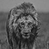 b1r.alakberov
