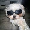 zachin1a