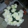 user8508185754761