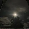 r_anayashe