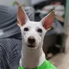 coby120425