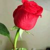 user7261815461787