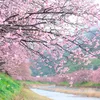 arigato3354