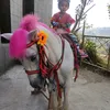 freda.maguad