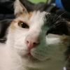 kannika_140649