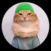 adam.mohammed205