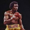 the_next_hearns
