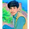 yasir302804