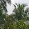 leminh1243