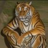 _yazeed_mohamad_