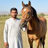 muhammadyounas397
