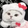 _iw.pwngiicte