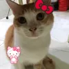 umokelanha