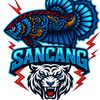 betta_sancanggarut