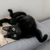 tomotktom