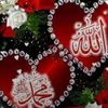 yildiz.fidan