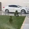 .salah.allafi