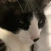 ben.0f