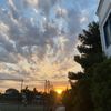 anabiyeva_666