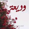 hesaham51
