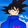 songokuz1