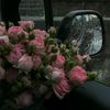 sofia_2001909