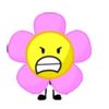ohmypetal