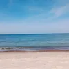 zdjeciazdjecia6