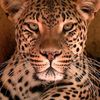houda04582