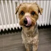 zannyfnbr
