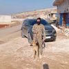 kdpdj.behev