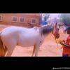 fatoumata.sissako6