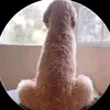 filippos_gk12tm_random
