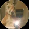 timcanguro123.14