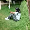 dibvb_48