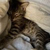 alex_73767