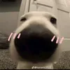 ngynhaaan