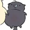 Antonio-kun 🦇