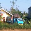 alifamufidah373