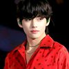 talily_3214