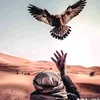 user1201741017003